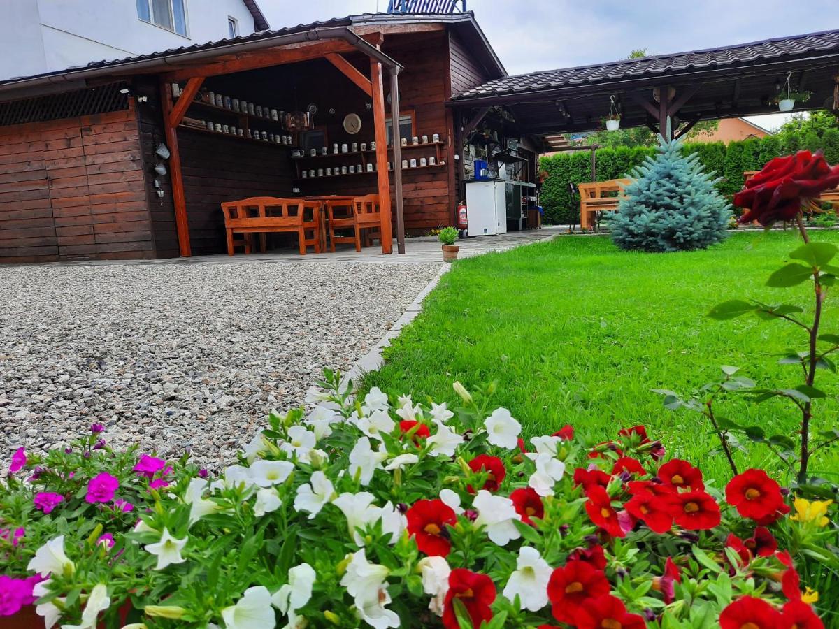 Apartamento Casa Melinda Vişeu de Sus Exterior foto